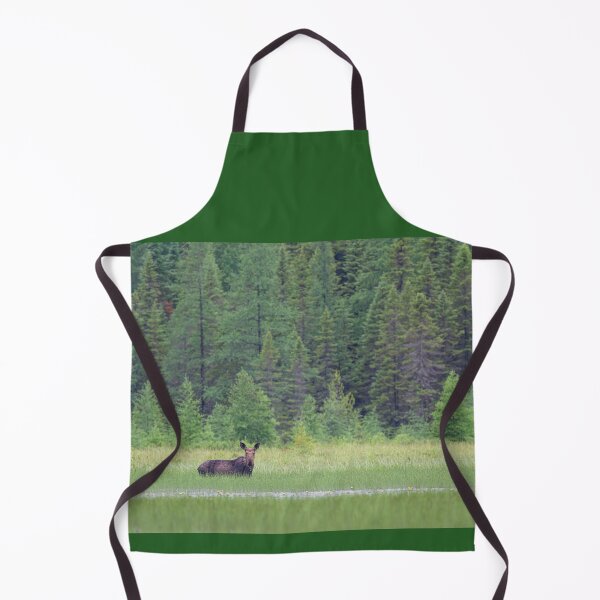 Item preview, Moose in the Marsh, Opeongo Lake, Algonquin Park designed and sold by James Cumming.