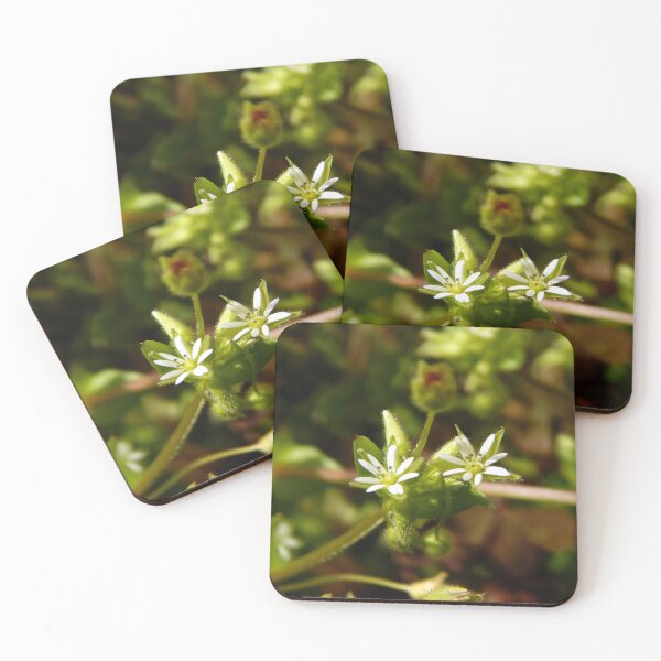 Item preview, Chickweed Blooms designed and sold by gistinker.