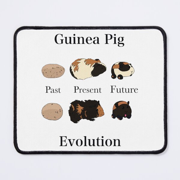 Item preview, Guinea Pig Evolution designed and sold by Not-Kat.