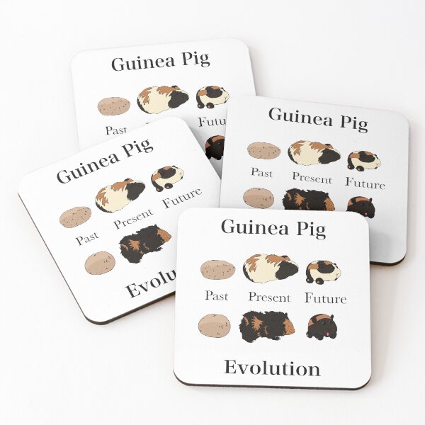 Item preview, Guinea Pig Evolution designed and sold by Not-Kat.