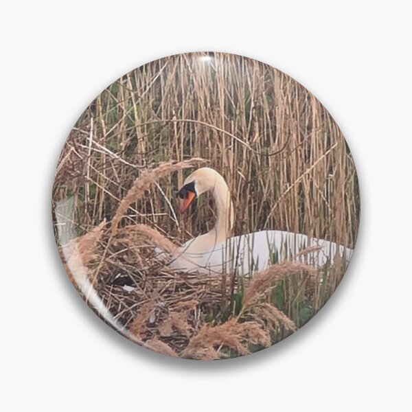 Item preview, TAMalloyPhoto - MOTHER SWAN  designed and sold by TAMalloyPhoto.