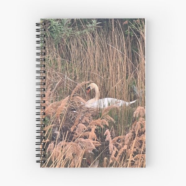 Item preview, TAMalloyPhoto - MOTHER SWAN  designed and sold by TAMalloyPhoto.