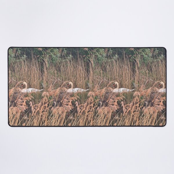 Item preview, TAMalloyPhoto - MOTHER SWAN  designed and sold by TAMalloyPhoto.