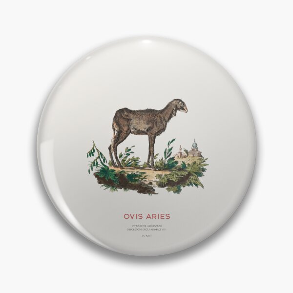 Item preview, Domestic Sheep Vintage Animal Illustration designed and sold by Vintagrafica.