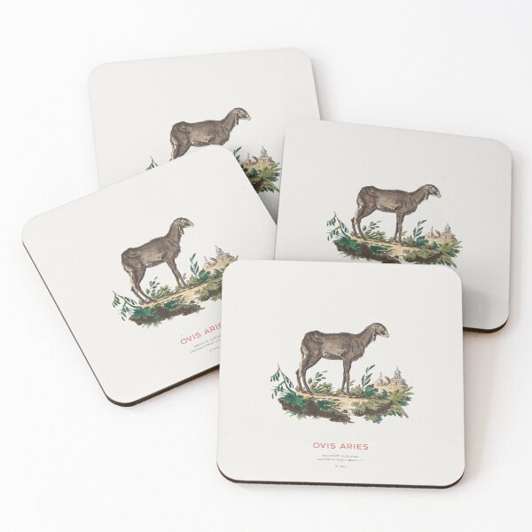 Item preview, Domestic Sheep Vintage Animal Illustration designed and sold by Vintagrafica.