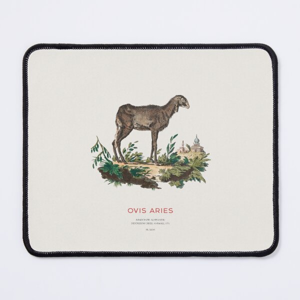 Item preview, Domestic Sheep Vintage Animal Illustration designed and sold by Vintagrafica.