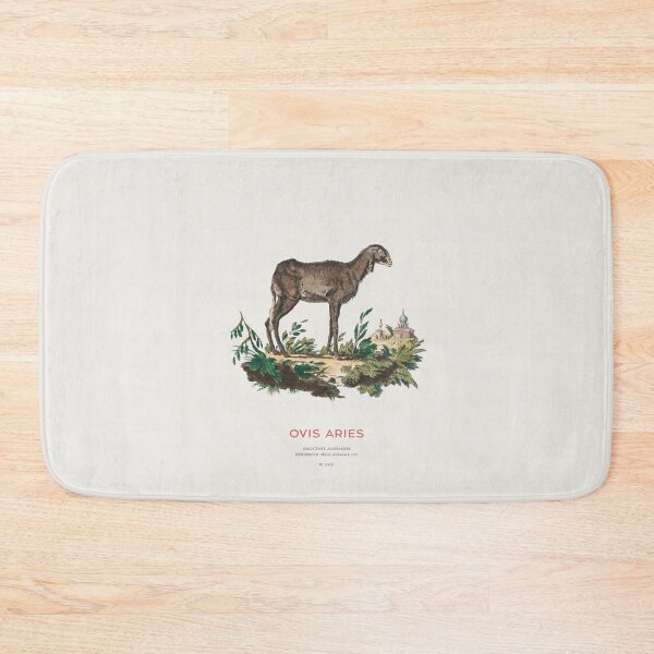 Item preview, Domestic Sheep Vintage Animal Illustration designed and sold by Vintagrafica.
