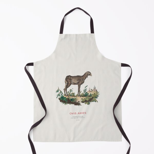 Item preview, Domestic Sheep Vintage Animal Illustration designed and sold by Vintagrafica.