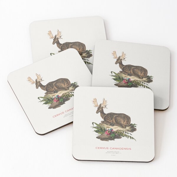 Item preview, Moose Vintage Scientific Sketch designed and sold by Vintagrafica.