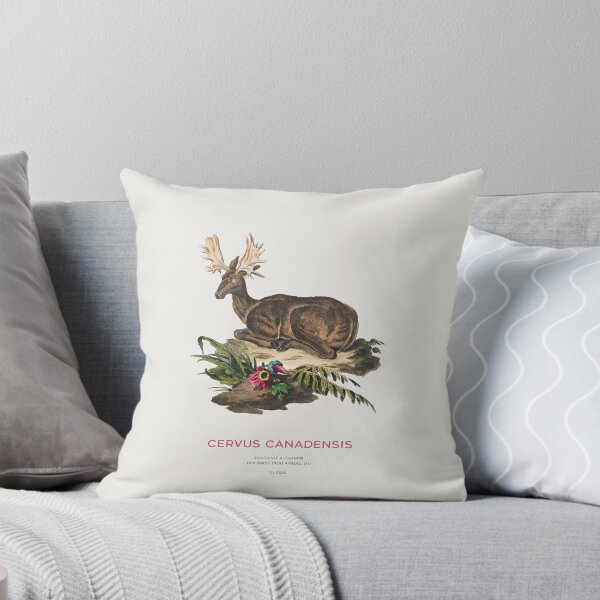 Item preview, Moose Vintage Scientific Sketch designed and sold by Vintagrafica.