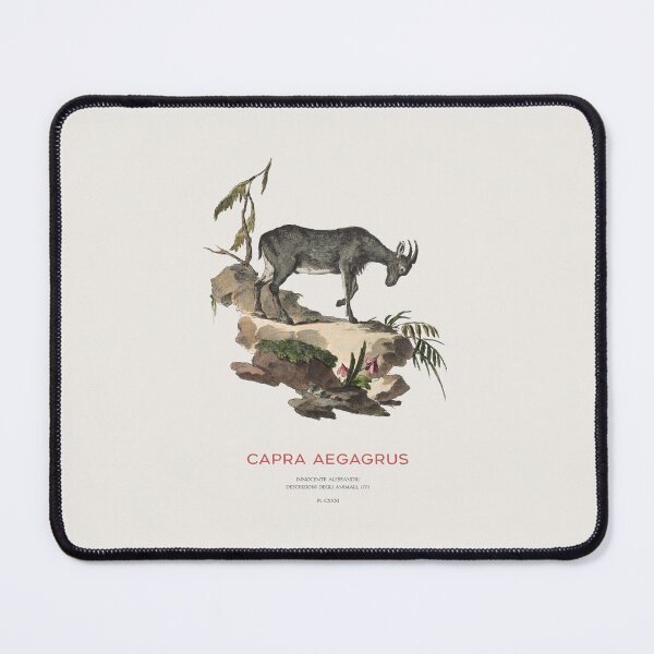 Item preview, Wild Goat Scientific Drawing designed and sold by Vintagrafica.