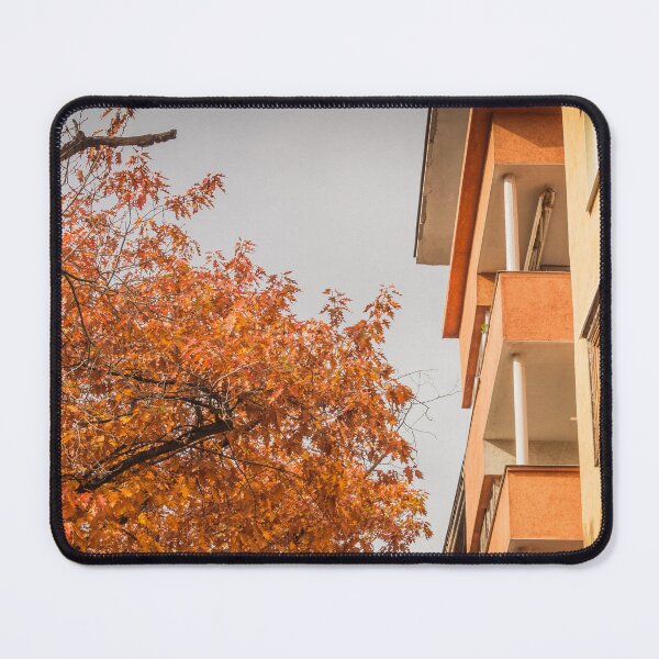Item preview, Sofia Cityscape with Architectural Detail and Autumn Tree – Urban Fall Photography designed and sold by photo-travel.
