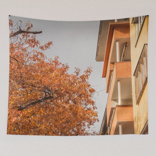 Item preview, Sofia Cityscape with Architectural Detail and Autumn Tree – Urban Fall Photography designed and sold by photo-travel.