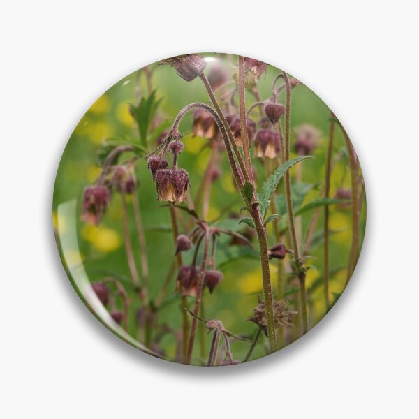 Item preview, The group. Water avens designed and sold by Jouko Lehto Photography.