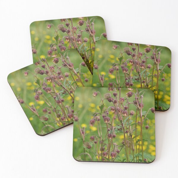 Item preview, The group. Water avens designed and sold by Jouko Lehto Photography.