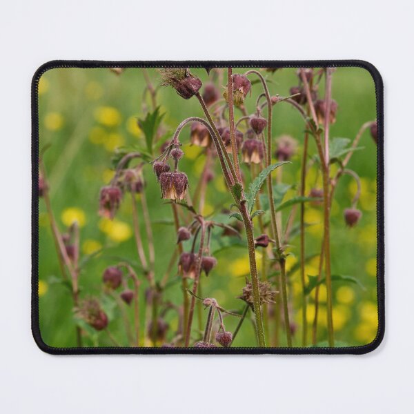Item preview, The group. Water avens designed and sold by Jouko Lehto Photography.