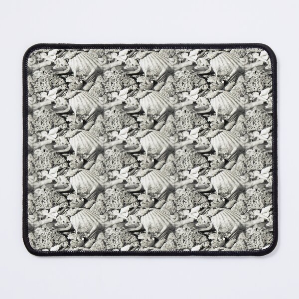 Item preview, Shells designed and sold by Robert Elfferich.