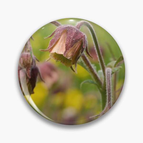 Item preview, Cure all. Water avens designed and sold by Jouko Lehto Photography.