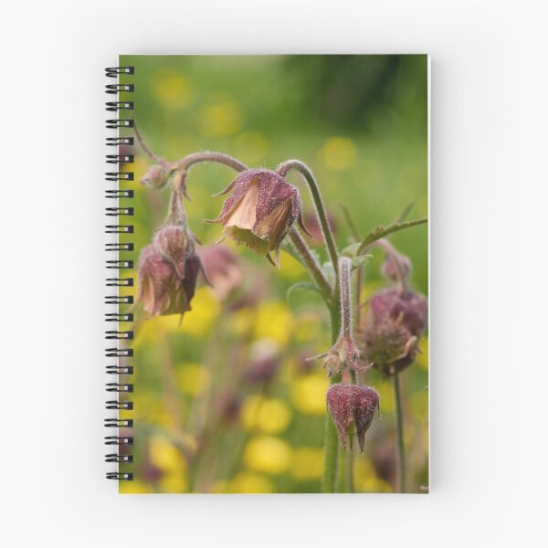 Item preview, Cure all. Water avens designed and sold by Jouko Lehto Photography.
