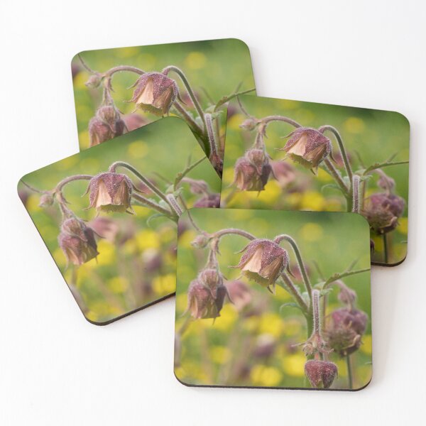 Item preview, Cure all. Water avens designed and sold by Jouko Lehto Photography.