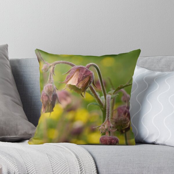 Item preview, Cure all. Water avens designed and sold by Jouko Lehto Photography.