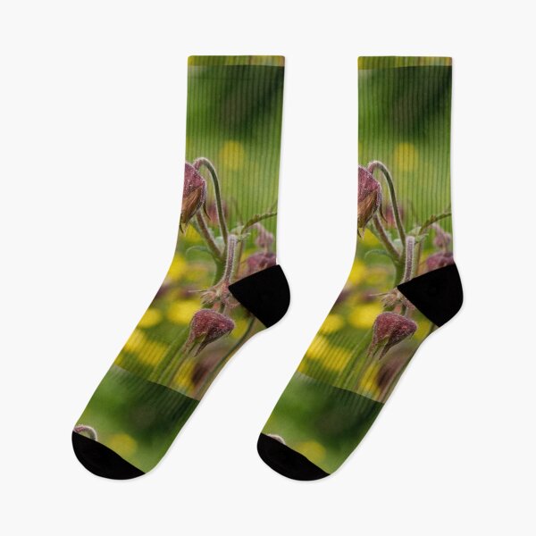 Item preview, Cure all. Water avens designed and sold by Jouko Lehto Photography.