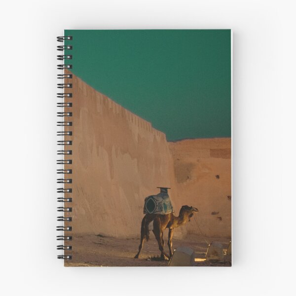 Item preview, Camel Next to Kasbah Wall in Agadir – Moroccan Desert Scene designed and sold by photo-travel.
