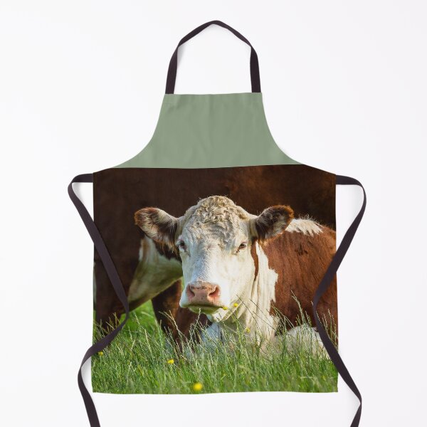 Item preview, Young Hereford Cow designed and sold by Jane Stanley Photography.
