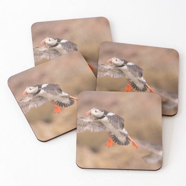 Item preview, Puffin coming in to land Aberdeenshire designed and sold by Derren Jones.