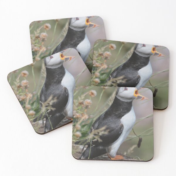 Item preview, Puffin calling to its mate , Aberdeenshire  designed and sold by Derren Jones.