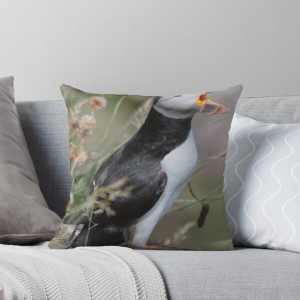 Item preview, Puffin calling to its mate , Aberdeenshire  designed and sold by Derren Jones.