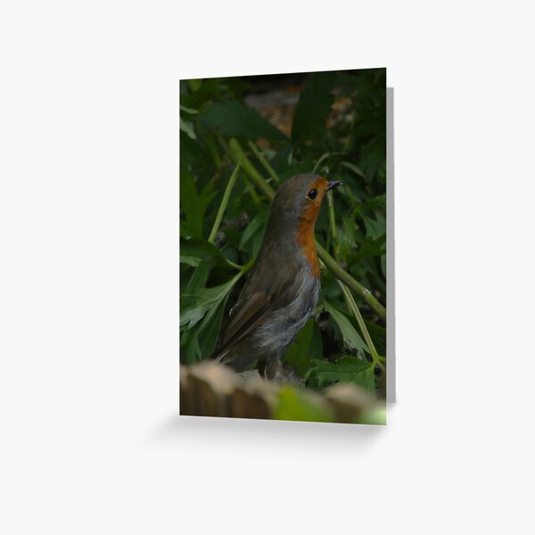 Item preview, I'm Still Around designed and sold by Mark.I.F Jarvis.