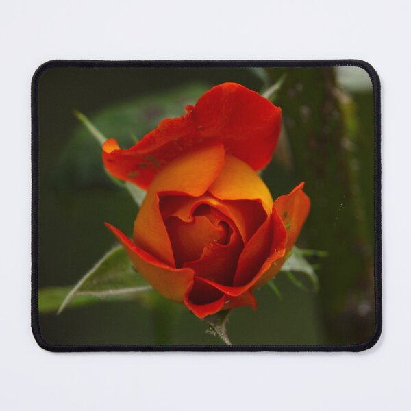 Item preview, Centre of my Heart designed and sold by Mark.I.F Jarvis.