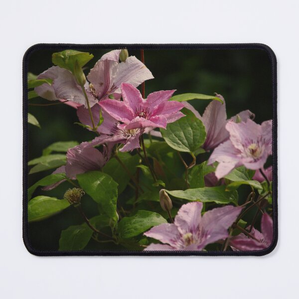 Item preview, Tender Beauty designed and sold by Mark.I.F Jarvis.