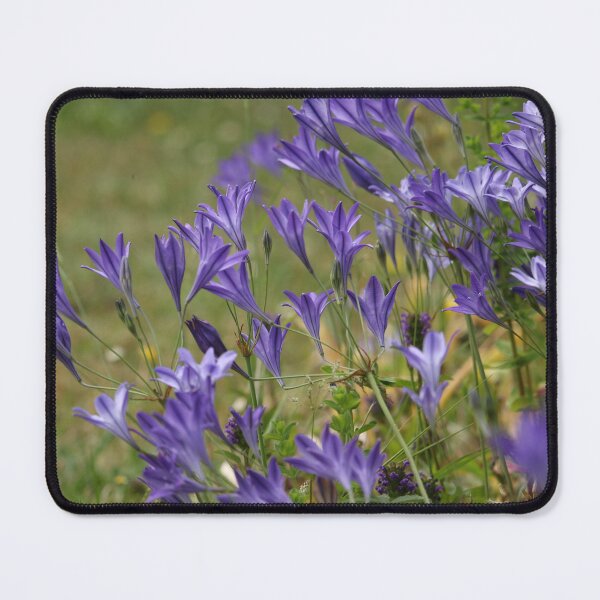 Item preview, Tender Blues designed and sold by Mark.I.F Jarvis.
