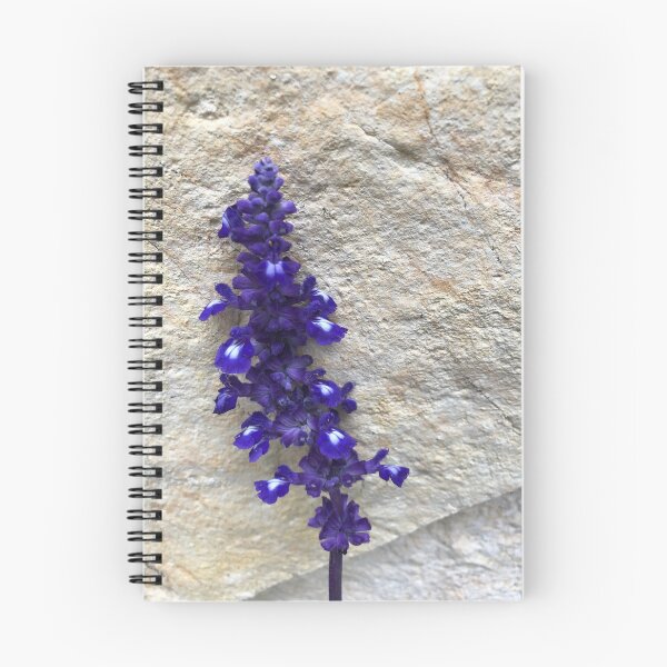 Aperçu de l'œuvre Fleur de sauge violette créée et vendue par RDLT.