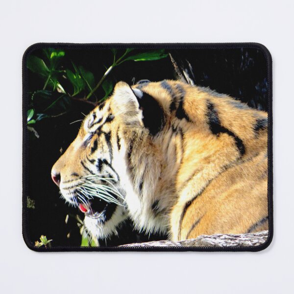 Artikelvorschau, Tiger entworfen und verkauft von ShutterbugBttns.