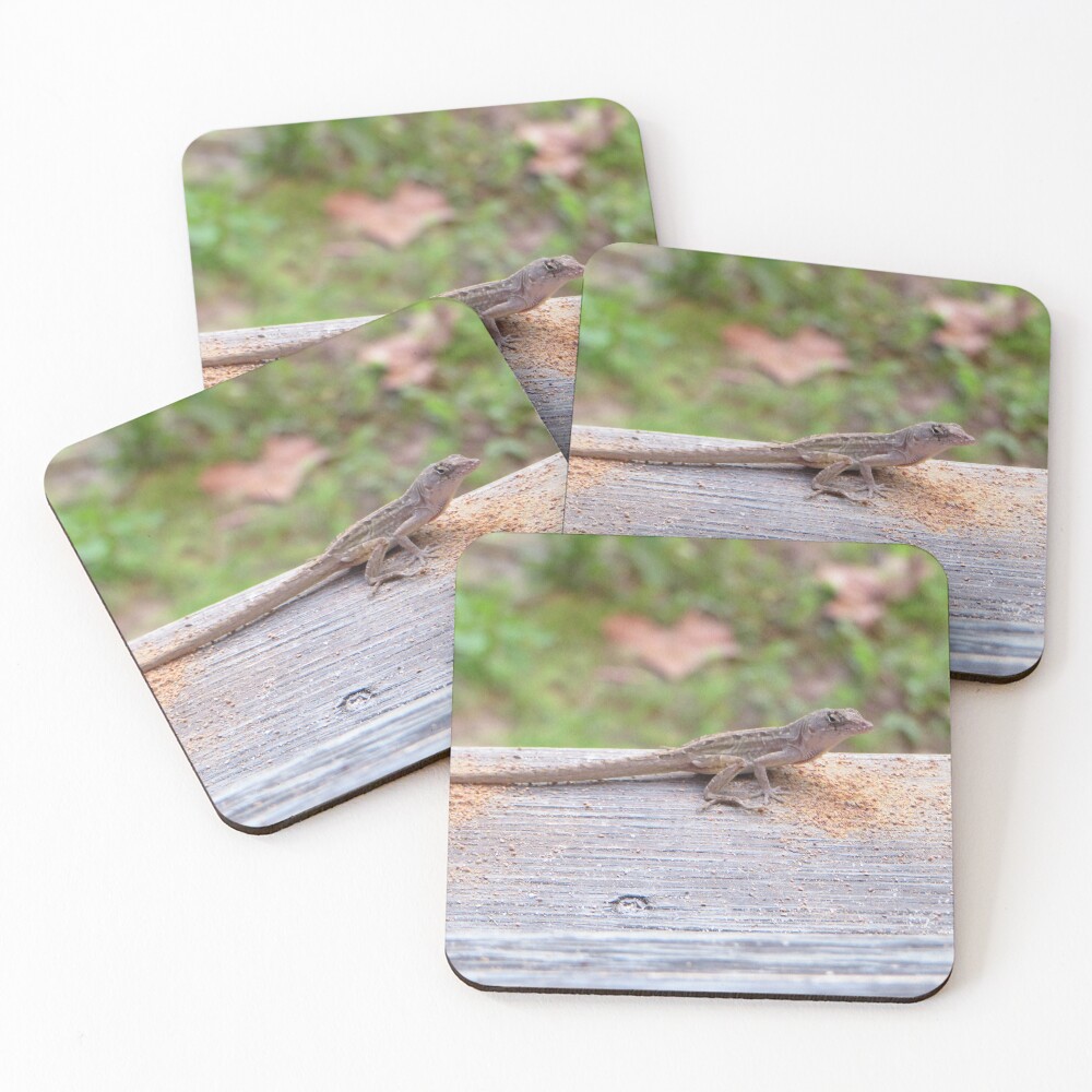 Item preview, Coasters (Set of 4) designed and sold by ShutterbugBttns.