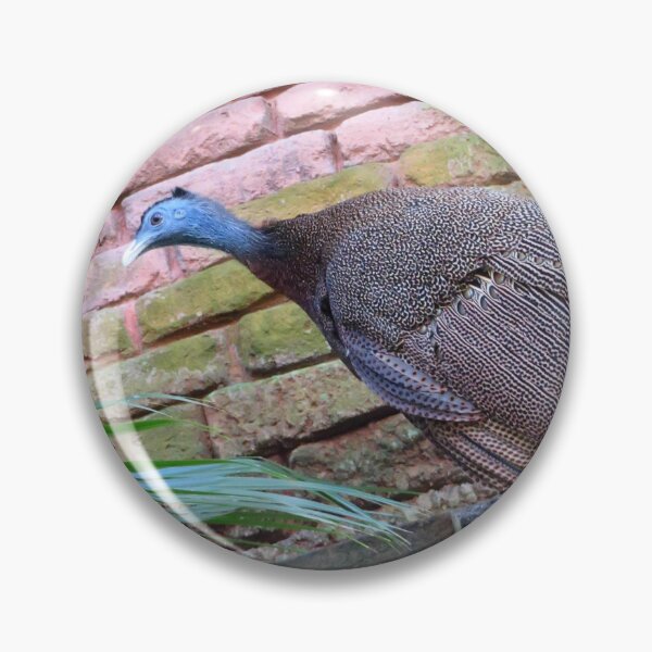 Item preview, Great Argus Pheasant designed and sold by ShutterbugBttns.