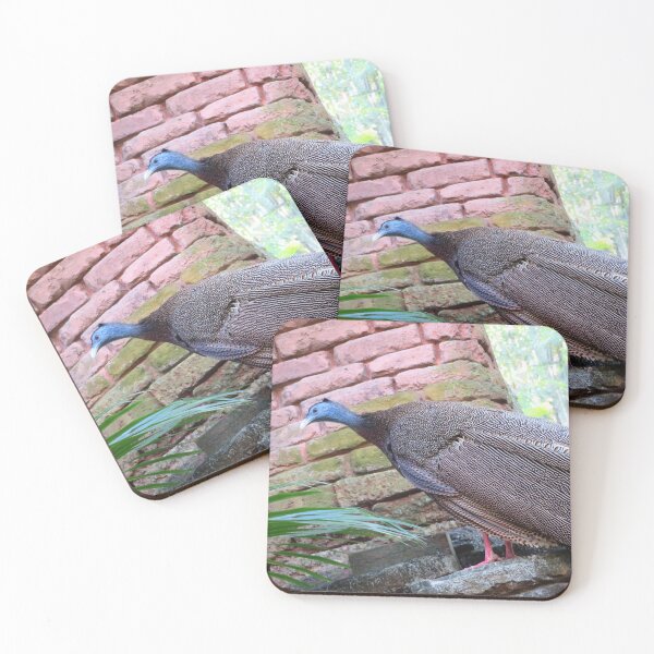 Item preview, Great Argus Pheasant designed and sold by ShutterbugBttns.