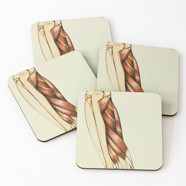 Item preview, Muscles in the forearms Anatomical Studies  designed and sold by Esmeralda Marchioro.