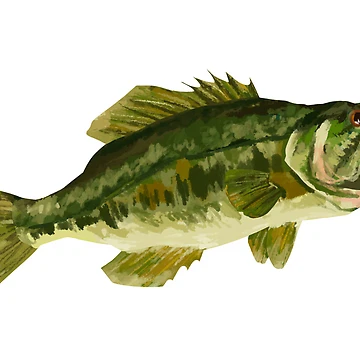 Artwork thumbnail, Largemouth Bass by Reeseworks