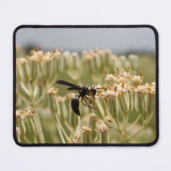 Item preview, Texas Pollinator designed and sold by TiffanyMaeDesign.
