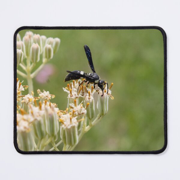 Item preview, Pollinator at Work designed and sold by TiffanyMaeDesign.
