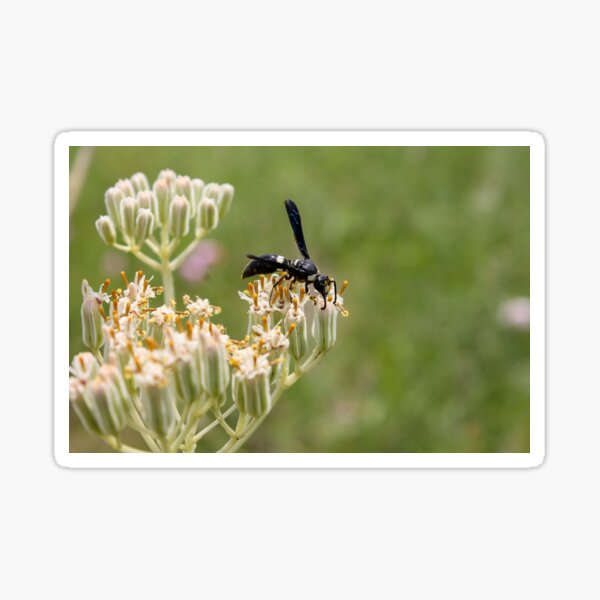 Item preview, Pollinator at Work designed and sold by TiffanyMaeDesign.