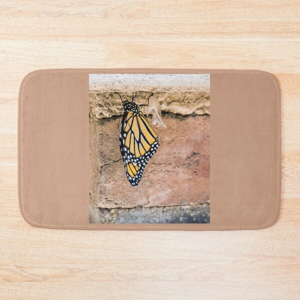 Item preview, Monarch Butterfly Emerges From Cocoon designed and sold by CarolM.