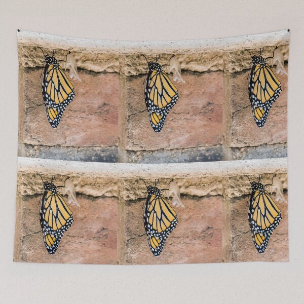 Item preview, Monarch Butterfly Emerges From Cocoon designed and sold by CarolM.