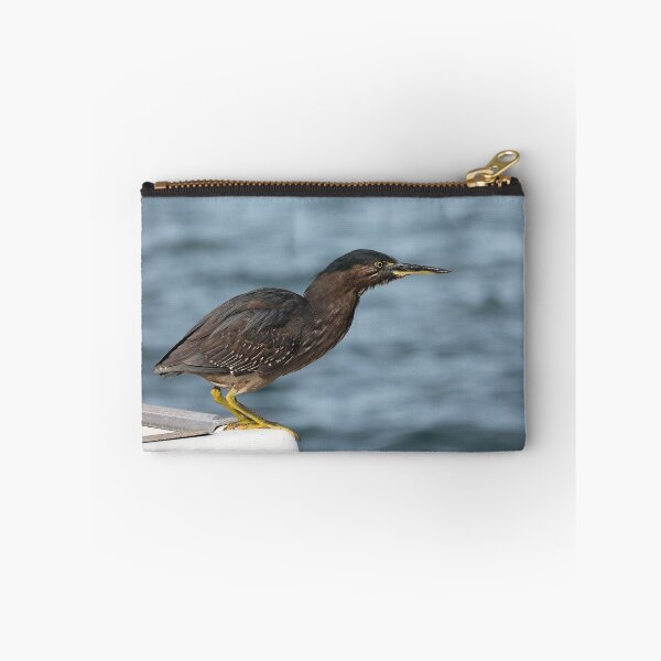 Item preview, Striated heron 001 designed and sold by kevin Chippindall.
