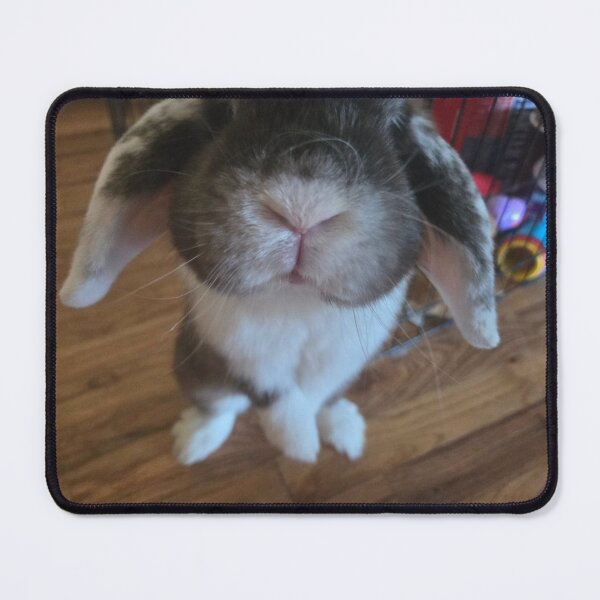 Item preview, Sebastian Bunny designed and sold by BunnyBoos.