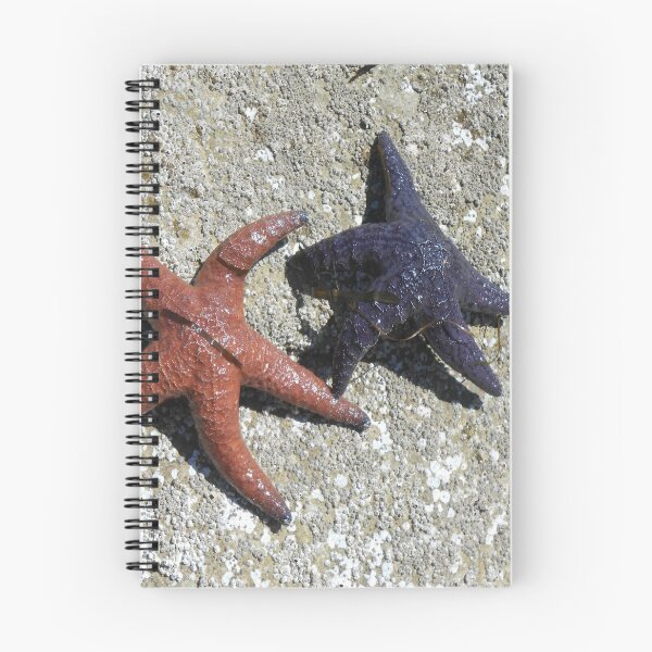 Item preview, Starfish in the Wild – Pacific Northwest Tide Pools designed and sold by starcraft542.